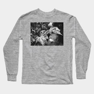 ‘White Lines’ - wild Ivy in Black & White Long Sleeve T-Shirt